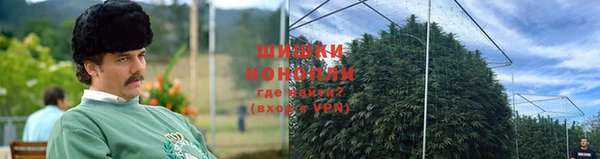 СК Протвино