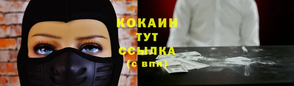 СК Протвино