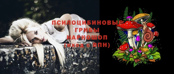 СК Протвино