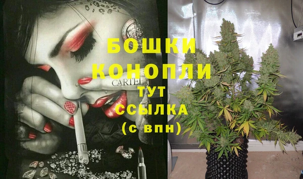 гашик Надым